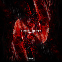 Hanga - Really Liked You (Explicit)