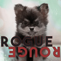 Amber Liu - Rogue Rouge