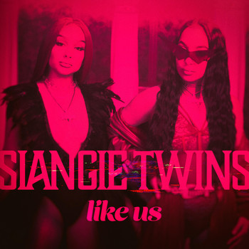 SiAngie Twins - Like Us