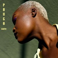 Pongo - Canto