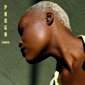 Pongo - Canto