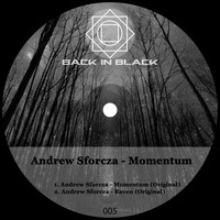 Andrew Sforcza - Momentum
