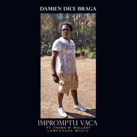 Damien Dice Braga / - Impromptu Vaca