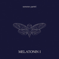 Somme Partel - Melatonin I