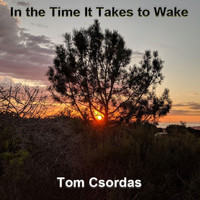 Tom Csordas - In the Time It Takes to Wake