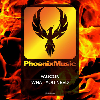 Faucon - What You Need