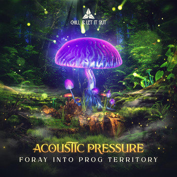Acoustic Pressure - Foray Into Prog Territory