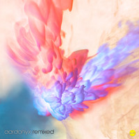 Aardonyx - Aardonyx (Remixed)