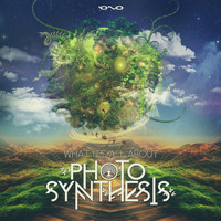 Photosynthesis - What Its All About