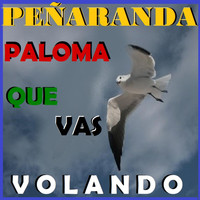 Peñaranda - Paloma Que Vas Volando