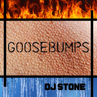 DJ Stone - Goosebumps