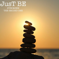 Just Be - Sync&Zen The Second One