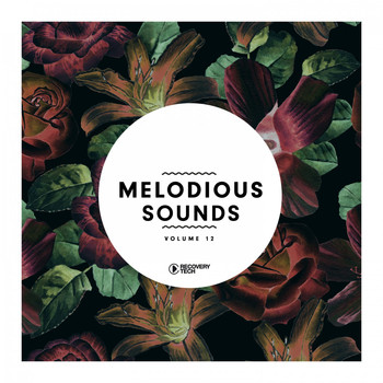 Various Artists - Melodious Sounds, Vol. 12