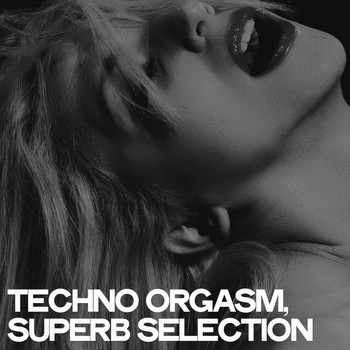 Various Artists - Techno Orgasm (Superb Selection)