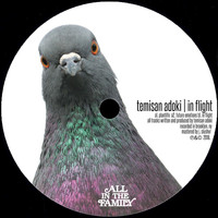 Temisan Adoki - In Flight