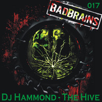 DJ Hammond - Dj Hammond - The Hive