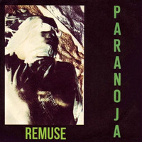 Paranoja - Remuse