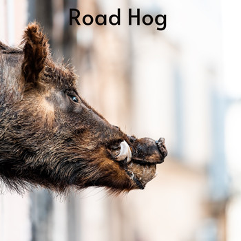 Various Artists - Road Hog