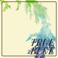 Erica Freas - True Blue