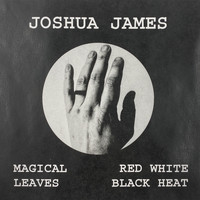 Joshua James - Magical Leaves Red White Black Heat