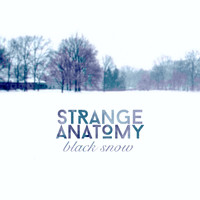 STRANGE ANATOMY - Black Snow