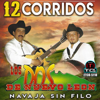 Los Dos De Nuevo Leon - 12 Corridos