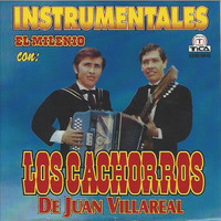 Los Cachorros De Juan Villarreal - Instrumentales el Milenio