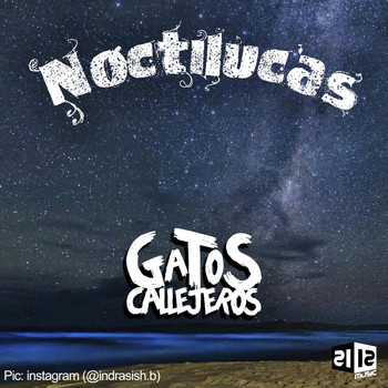 Gatos Callejeros - Noctilucas