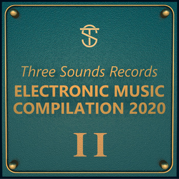 Various Artists - TSR ELECTRONIC MUSIC COMPILATION 2020 II
