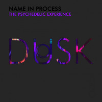 Name In Process - The Psychedelic Experience