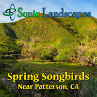 Sonic Landscapes - Spring Songbirds (Explicit)