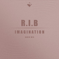 R.I.B - Imagination (Radio Mix)