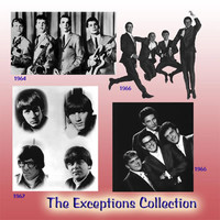 Exceptions - The Exceptions Collection