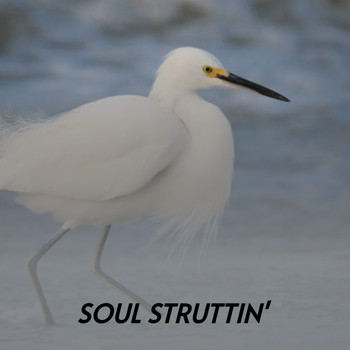 Various Artists - Soul Struttin' (Explicit)