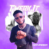 Natureboy - Twerk It