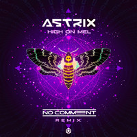 Astrix - High on Mel (No Comment Remix)