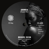 Miguel Silva - Ammea