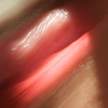 Marc Houle - Licking Skin
