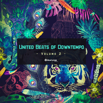 Various Artists - United Beats of Downtempo, Vol. 2