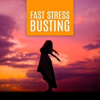 Mindfulness Meditation Music Spa Maestro - Fast Stress Busting: Meditation Music for Bliss and Tranquility & Boost Your Mood