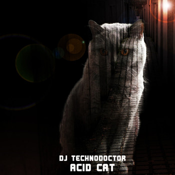 Dj Technodoctor - Acid Cat