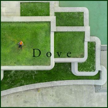 Ebe De Antonio - Dove