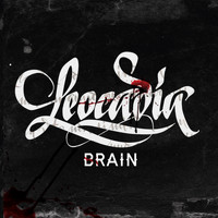 Brain - Leocadia