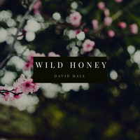David Hall - Wild Honey