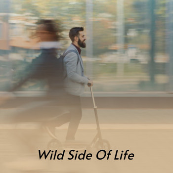 Various Artists - Wild Side of Life