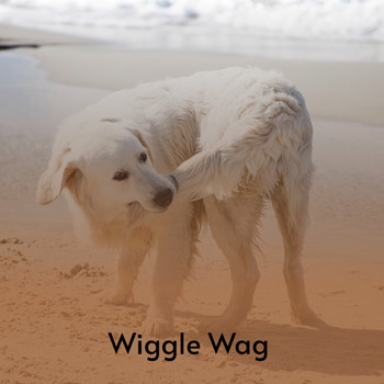 Various Artists - Wiggle Wag