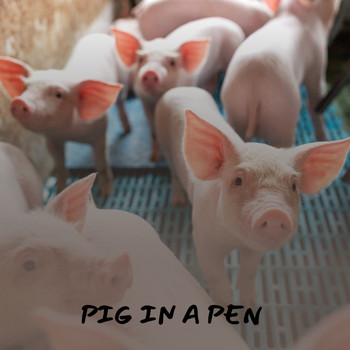 Various Artists - Pig in a Pen