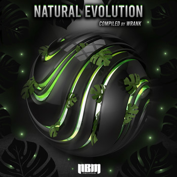 Various Artists - VA - Natural Evolution