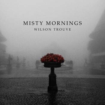 Wilson Trouvé - Misty Mornings