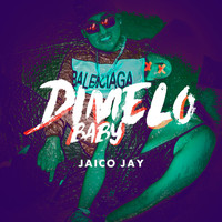 Jaico Jay / - Dimelo Baby